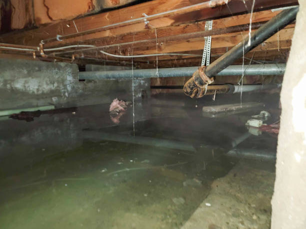Best Ceiling water damage repair  in Kenwood Estates, FL