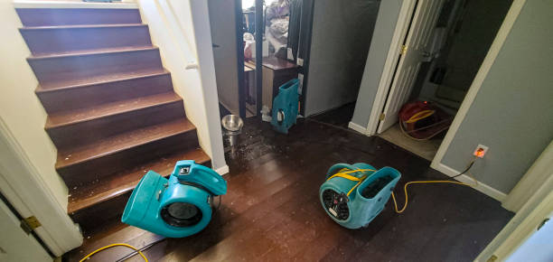 Water damage restoration mold remediation in FL