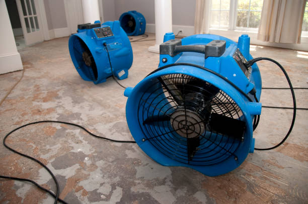 Best Water damage mitigation services  in Kenwood Estates, FL