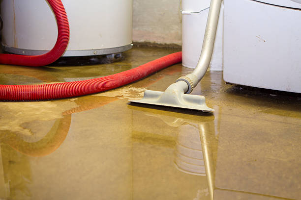 Best Professional water damage repair  in Kenwood Estates, FL