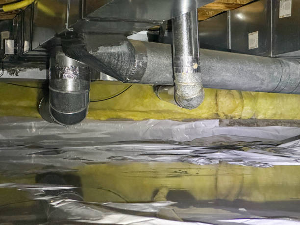 Best Local water damage restoration  in Kenwood Estates, FL
