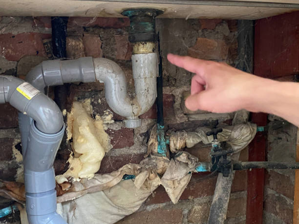 Best Flood restoration services  in Kenwood Estates, FL
