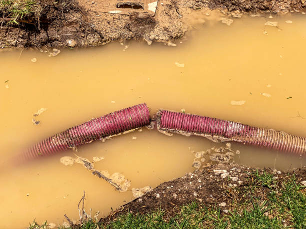 Best Water damage restoration near me  in Kenwood Estates, FL
