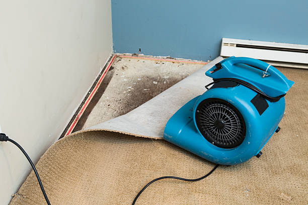 Best Water damage restoration services  in Kenwood Estates, FL